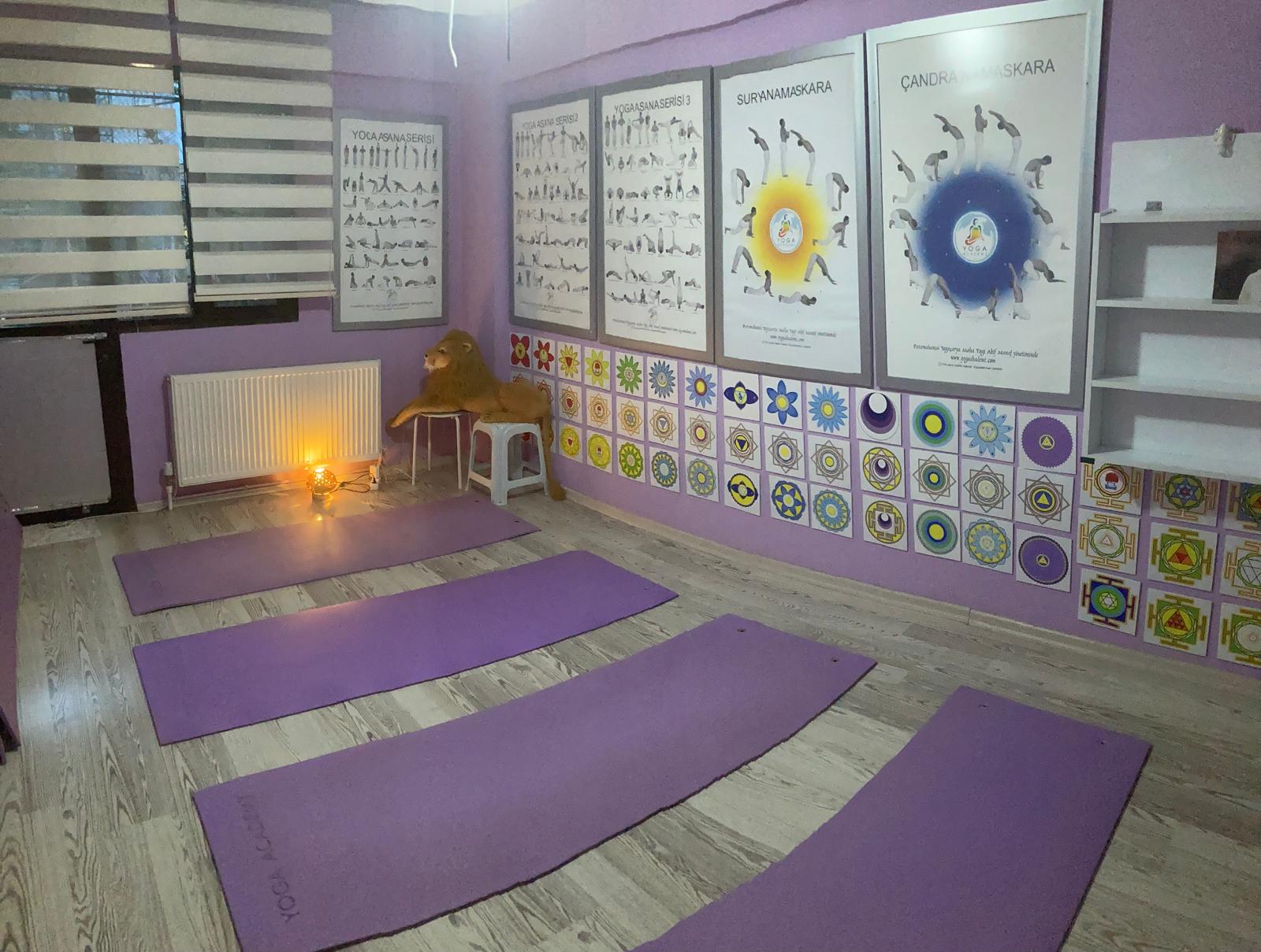 YOGA ACADEMY BORNOVA (KAZIMDİRİK MAH.)